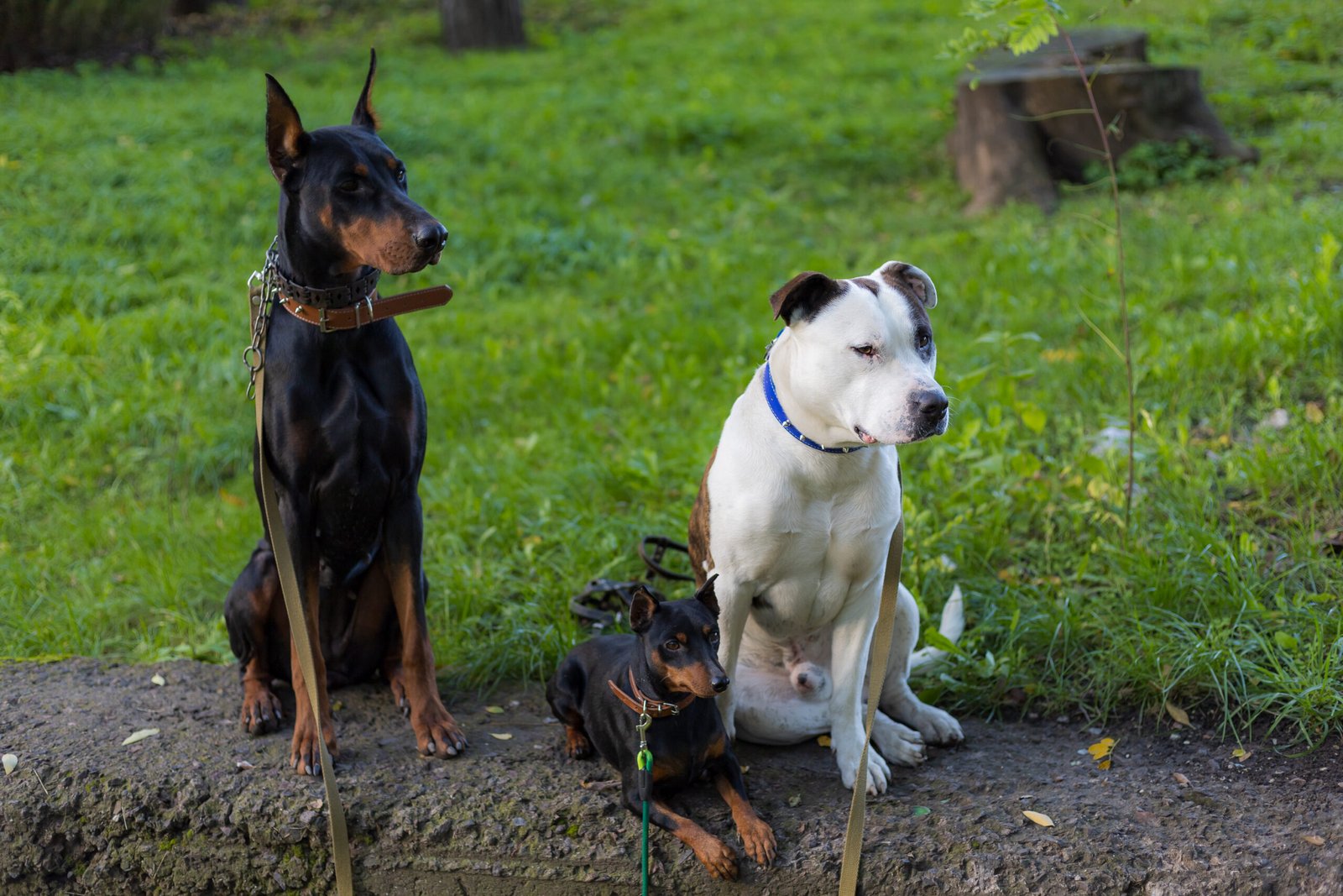 Meet the Volunteers Behind Our Sunday Feeding Drive